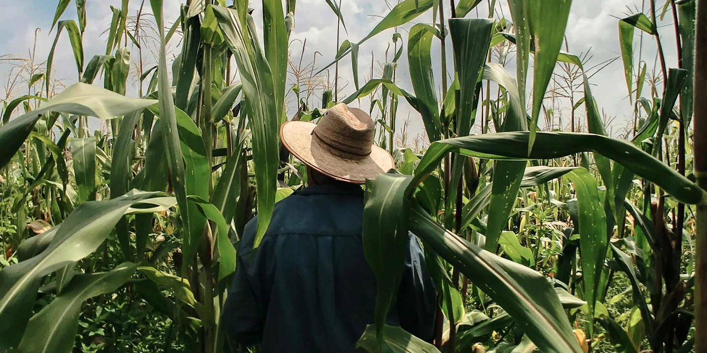 Project Suppliers | Connect with global buyers for Carbon Credits and Renewable Energy Certificates (RECs)