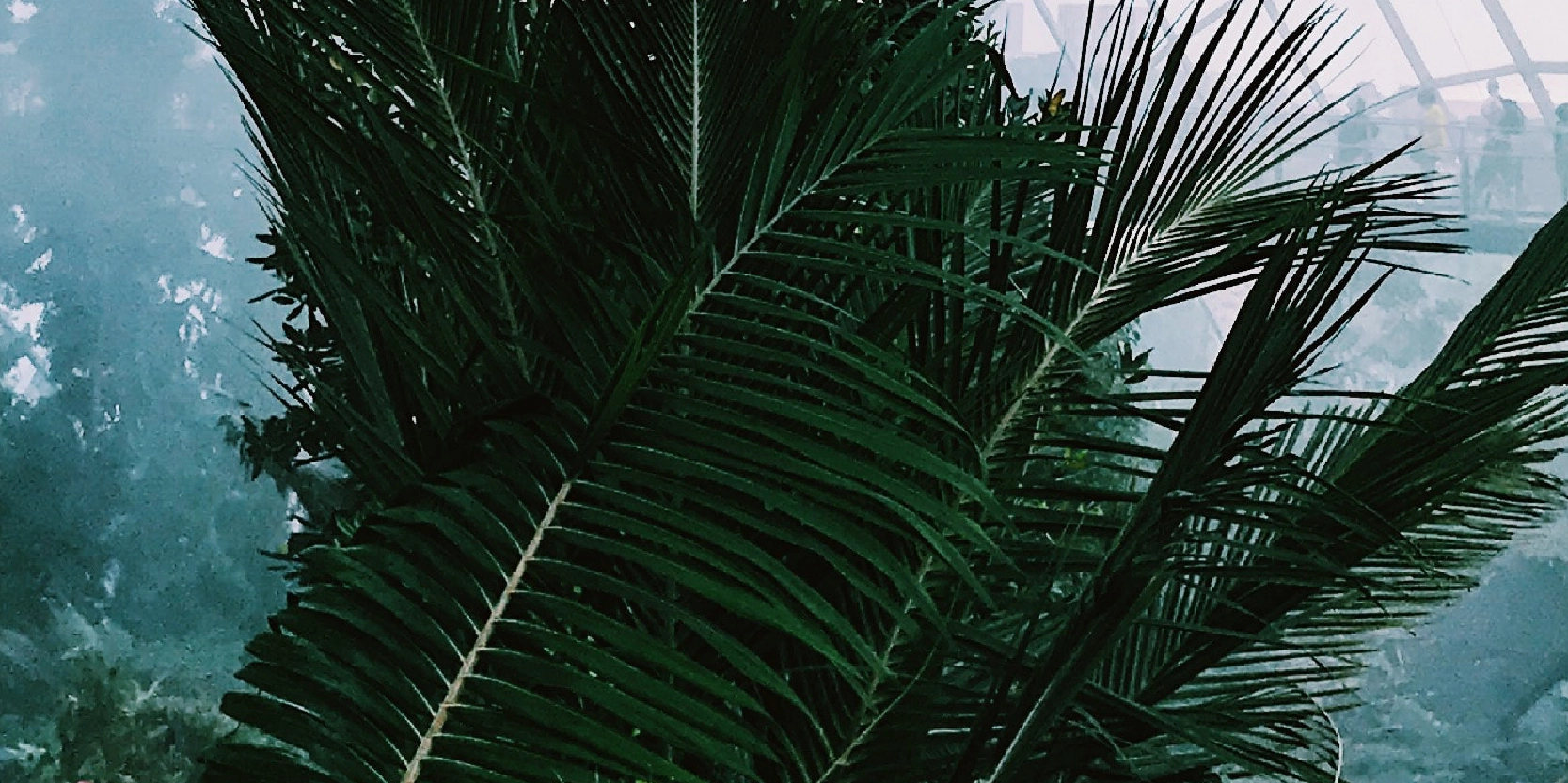 Singapore’s carbon tax has risen – what does this mean for you?