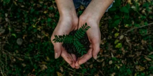 CIX Field Trip: A deeper understanding of Biochar
