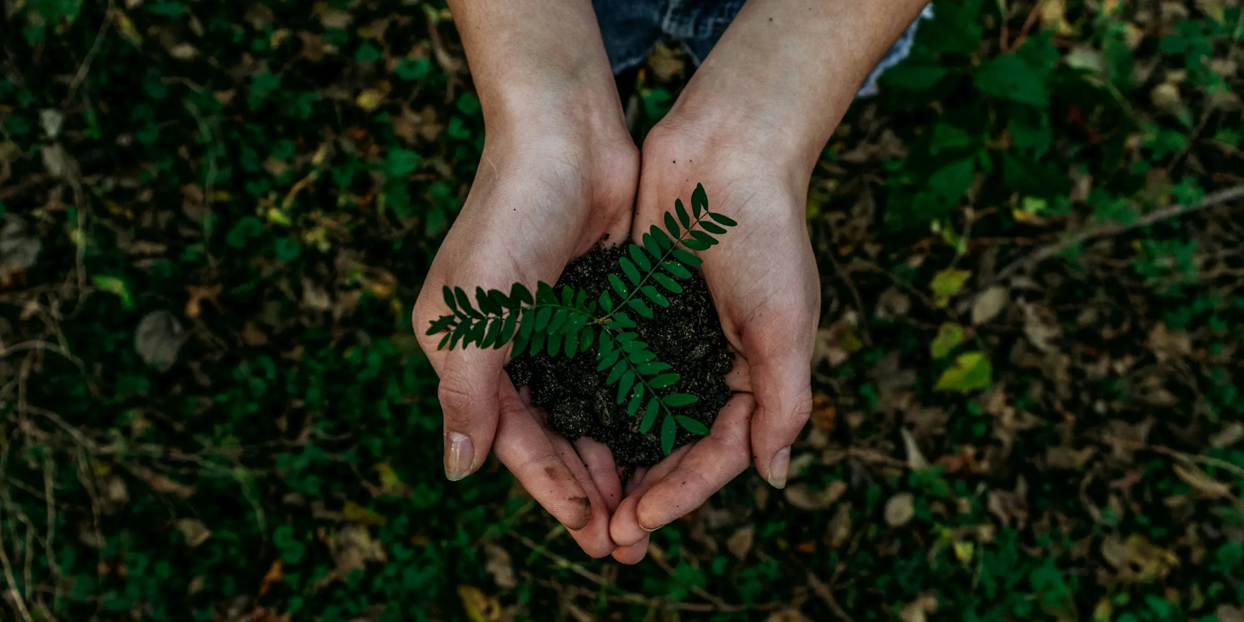 CIX Field Trip: A deeper understanding of Biochar