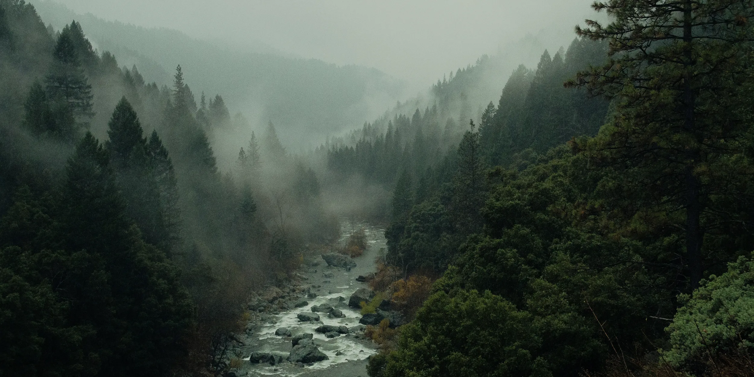 Turning the Tide on Forest Preservation and High Forest, Low Forest (HFLD) Credits