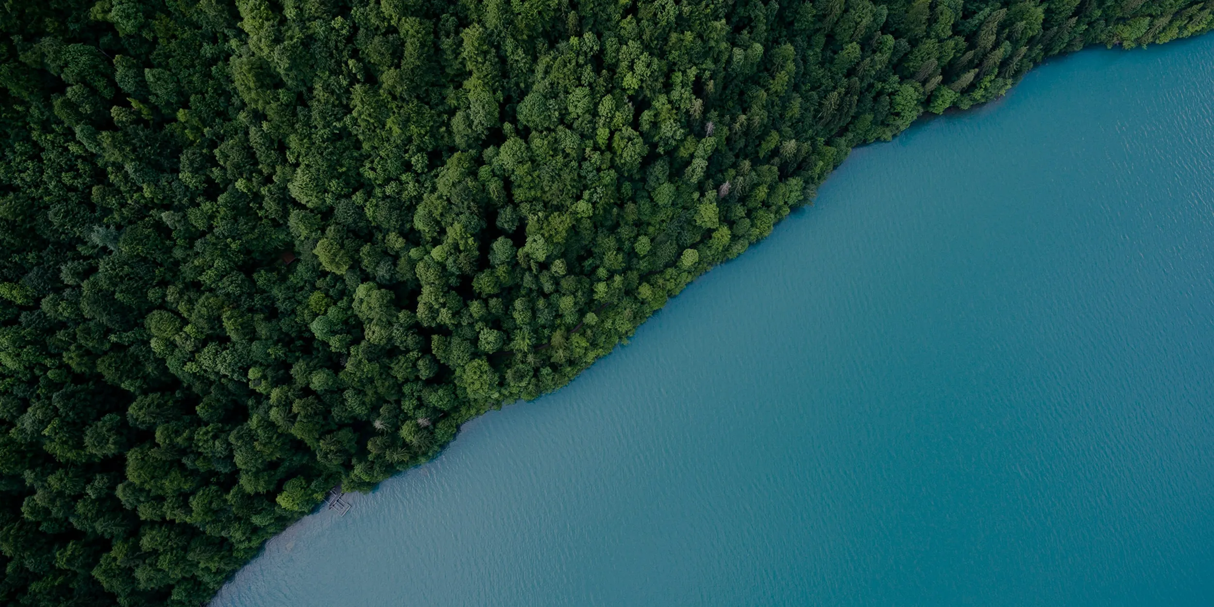 Unlock the Future of Forest Protection: FCPF Jurisdictional REDD+ Credits