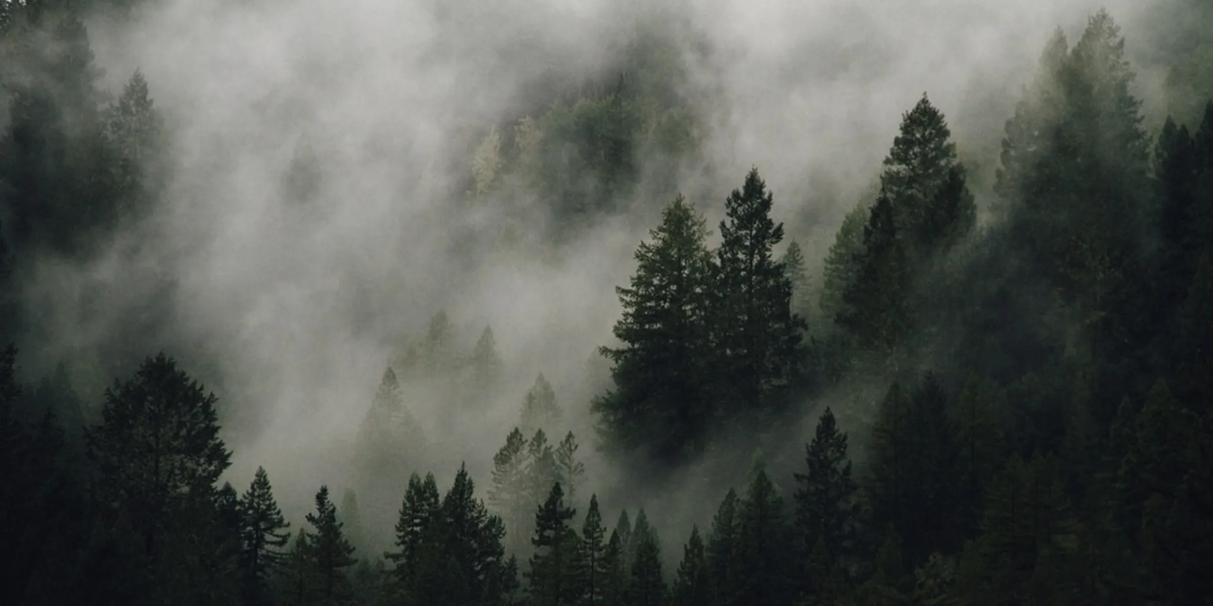 The Case for Preservation in High Forest, Low Deforestation (HFLD) Jurisdictions