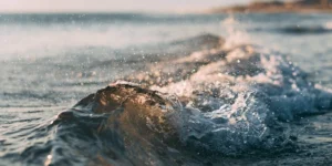 Why quality matters for carbon credits