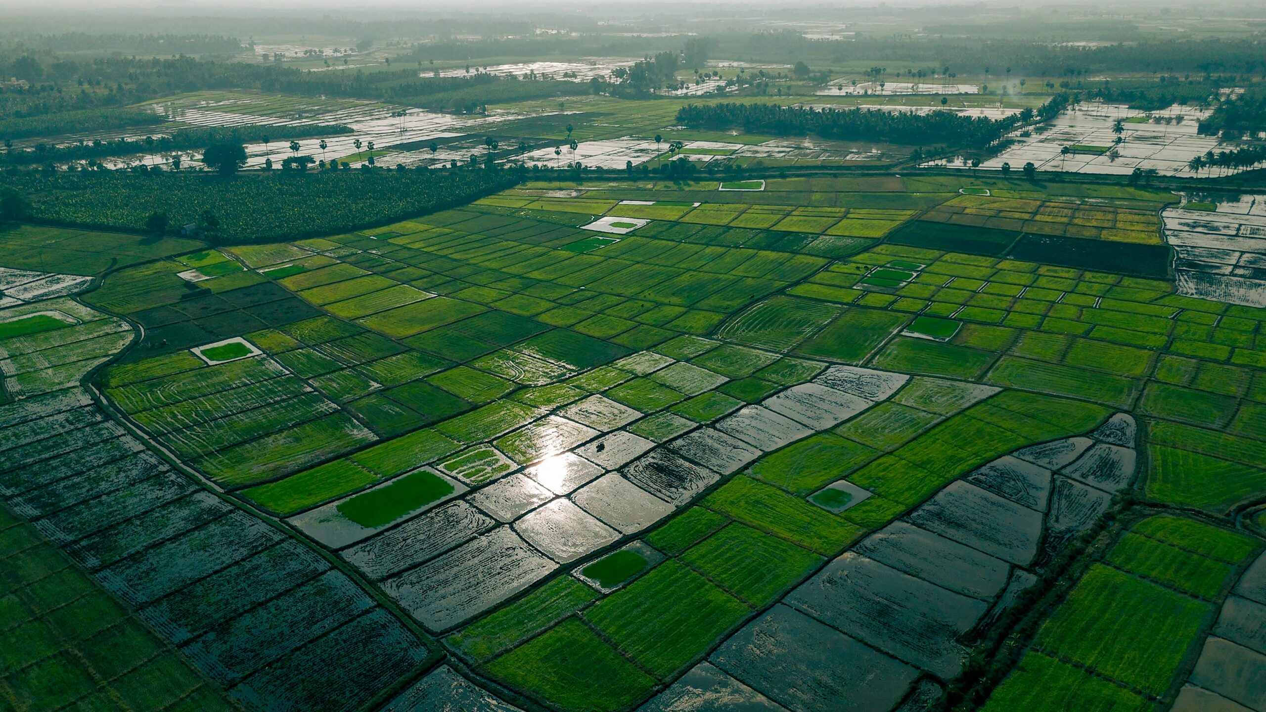 Methane credits background photo