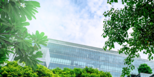 SBTi Corporate Net-Zero Standard V2.0 carbon credits and RECs EACs