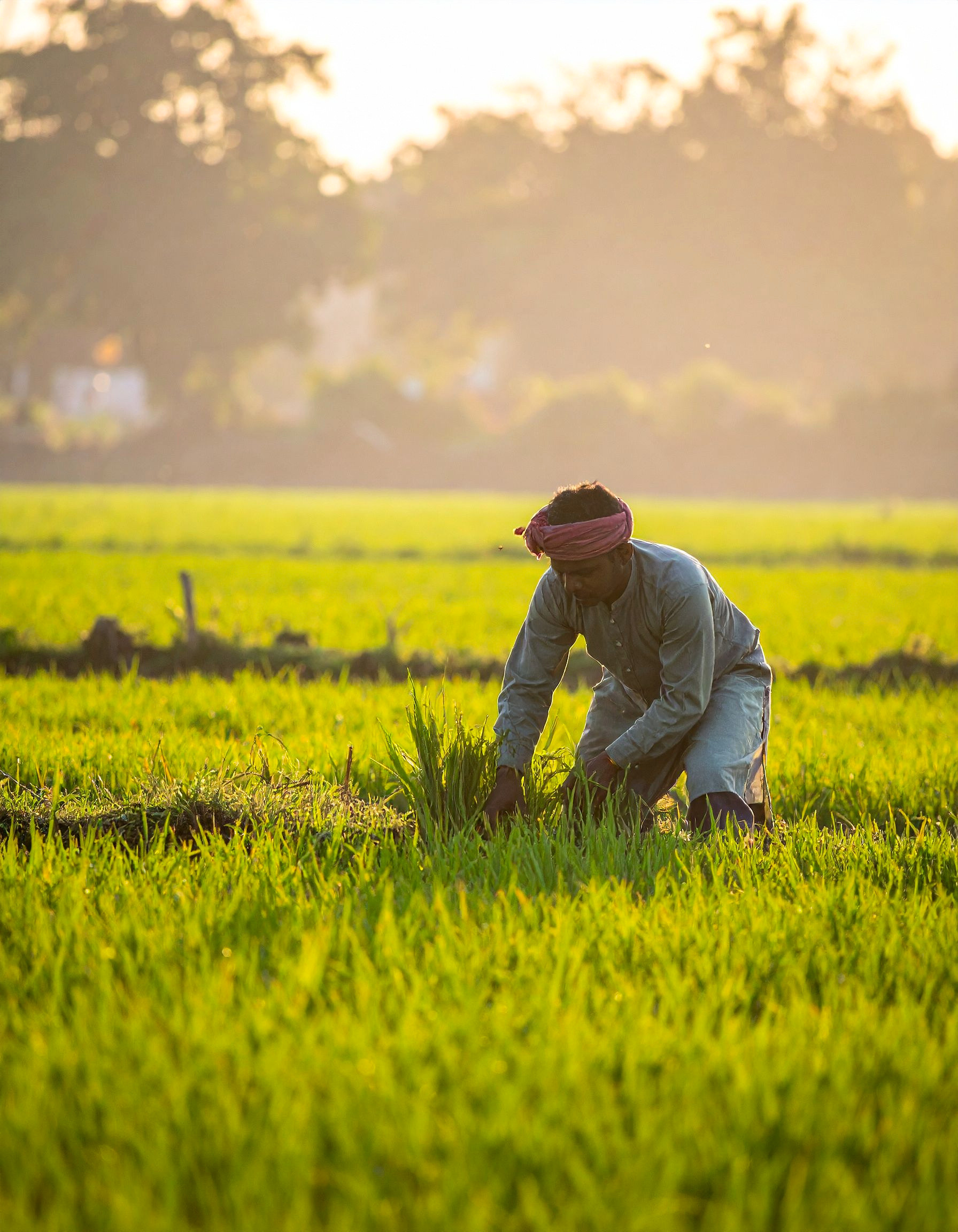 CIX Gates India's Agri-carbon opportunity